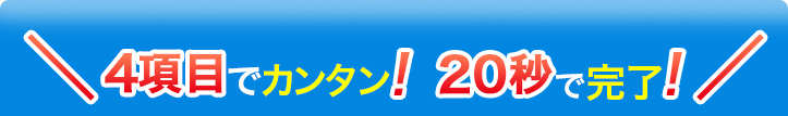 3項目でカンタン！20秒で完了！